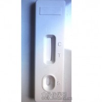 黄曲霉毒素M1检测卡