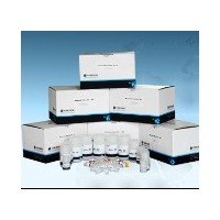 FZ1043 通用基因组DNA提取试剂盒Genomic DNA Isolation Kit(50)