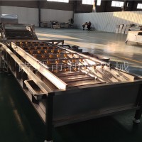 中央厨房蔬菜气泡清洗机全套设备 净菜加工流水线利特定制