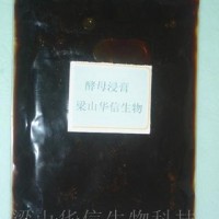 供应酵母浸膏