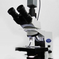 奥林巴斯显微镜CX31！震撼的价格和效果！