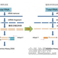 原核生物转录组测序