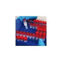 邻苯二甲酸单苄酯(MBzP) |CAS:2528-16-7|标准品|Monobenzyl phthalate (MBzP) |1G
