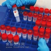 一溴二氯乙酰胺标准品|CAS:98137-00-9|Bromodichloroacetamide
