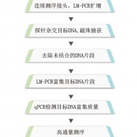 目标区域深度测序