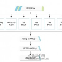 动植物基因组denovo测序
