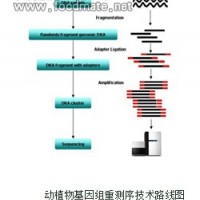 动植物基因组重测序