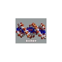 凝胶迁移实验（EMSA）
