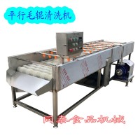 洗水果平行毛辊清洗机