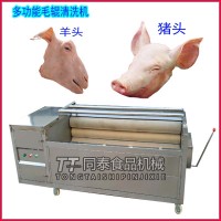 商用全自动猪蹄清洗机火烧猪头清洗机