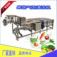 小型水果去泥清洗机 苹果气泡清洗机厂家直销