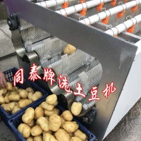 全自动水洗土豆机 马铃薯清洗设备