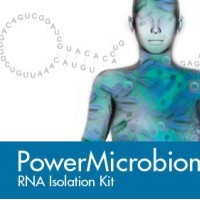 粪便肠内容物细菌微生物总RNA提取试剂盒