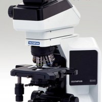 研究级正置显微镜BX43 奥林巴斯BX43显微镜