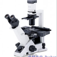 奥林巴斯显微镜CKX41 OLYMPUS倒置显微镜CKX41