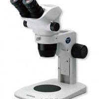解剖镜SZ51 奥林巴斯体视显微镜SZ51