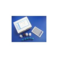 小鼠可溶性Endoglin(ENG/sCD105)ELISA试剂盒