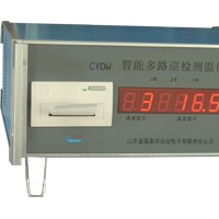 供应CYTW-I型温度记录主机