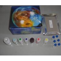 小鼠过氧化物酶体增殖物激活受体α(PPAR-α)ELISA试剂盒