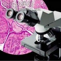 奥林巴斯CX31显微镜现货，CX31显微镜说明书