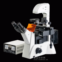 中恒 荧光显微镜 XDY-200