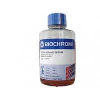 Biochrom皮脂腺细胞培养基