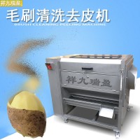 供应芋头红薯毛刷清洗机洗萝卜洗土豆机 根茎清洗去皮机
