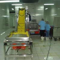 果蔬加工设备流态化单体速冻机