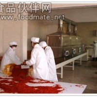 微波调味品杀菌设备