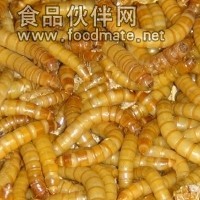 黄粉虫烘干机 微波干燥机 昆虫烘干设备