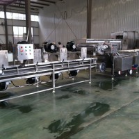 蔬菜加工前处理设备 蔬菜配料车间加工设备