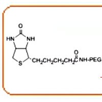 生物素聚乙二醇生物素