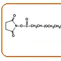 活性酯聚乙二醇活性酯