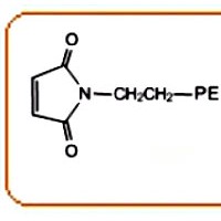 活性酯聚乙二醇马来酰亚胺
