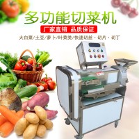 大型多功能双头切菜机TJ-301D 切韭菜大葱 切高丽菜包菜