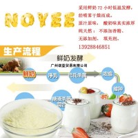 酸奶粉|天然酸奶粉|乳酸菌发酵酸奶粉|喷雾干燥酸奶粉|