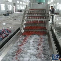 优价供应水果清洗机 水果清洗机工作原理