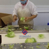 中央厨房生产线，净菜加工配餐生产线，学校饭堂蔬菜加工设备