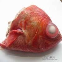 新西兰金目鲷鱼头
