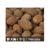 胖大海提取物应用，胖大海提取物QS证厂家