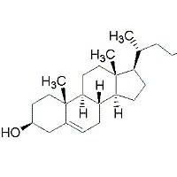 实验直销β-谷甾醇对照品