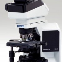 奥林巴斯三目显微镜bx43