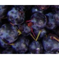 供应蓝莓与黑甸果