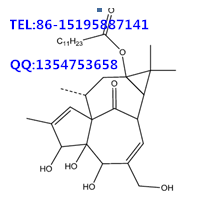 13-O-正十二烷酸巨大戟酯  cas:54706-70-6