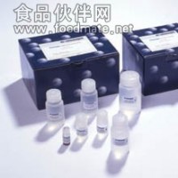 将小鼠凋亡诱导因子(AIF)ELISA试剂盒