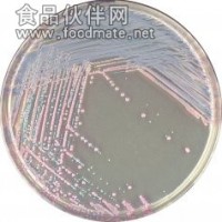 金黄色葡萄球菌检验用培养基（GB4789.10-2010）