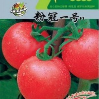 供应大棚蔬菜种子,果型均匀,番茄种子