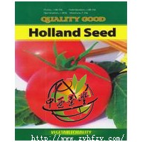 供应抗TY 番茄种子,进口番茄种子,种子