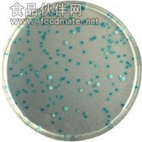 GB 4789.38-2012 大肠埃希氏菌检测用品列表