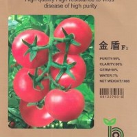 供应荷兰进口番茄种子,抗ty 番茄种子